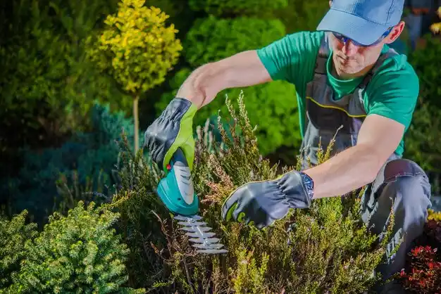 landscaping services Carlyss